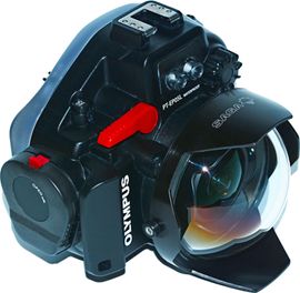 SAGA Dive Dome 100mm Panasonic 8mm Olympus PT 4 Zoll CFWA Unterwasserfotografie Domeport