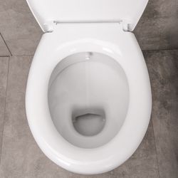 dfc08e1025363e800afbc0d36354169e2b437957-BV-SW5001-T-BV-D0303---6-.jpg dfc08e1025363e800afbc0d36354169e2b437957-BV-SW5001-T-BV-D0303---6-.jpg