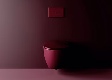 CREAVIT WC-Sitz Berry Softclose Duroplast mit Edelstahlscharnieren Inox Absenkautomatik