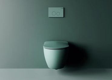 CREAVIT WC-Sitz Nilgrün Softclose Duroplast mit Edelstahlscharnieren Inox Absenkautomatik