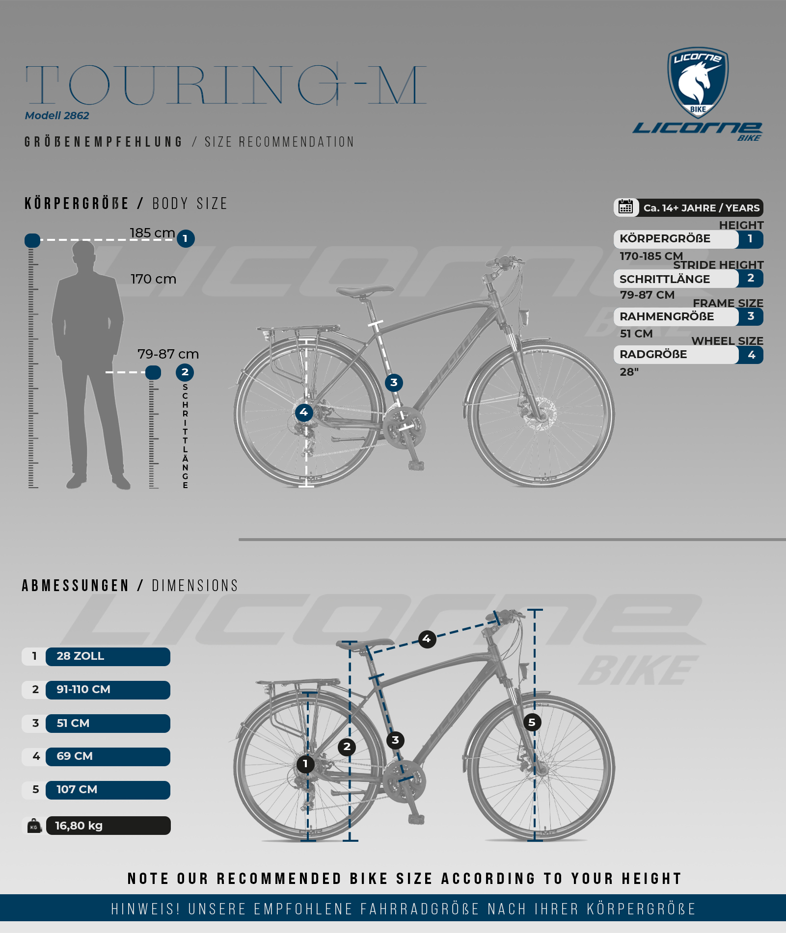 Titanium / Herren