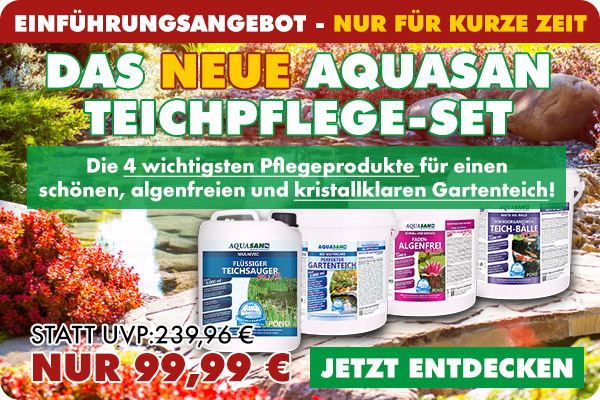 AQUASAN Sorgenfrei 4er-Teichpflegeset