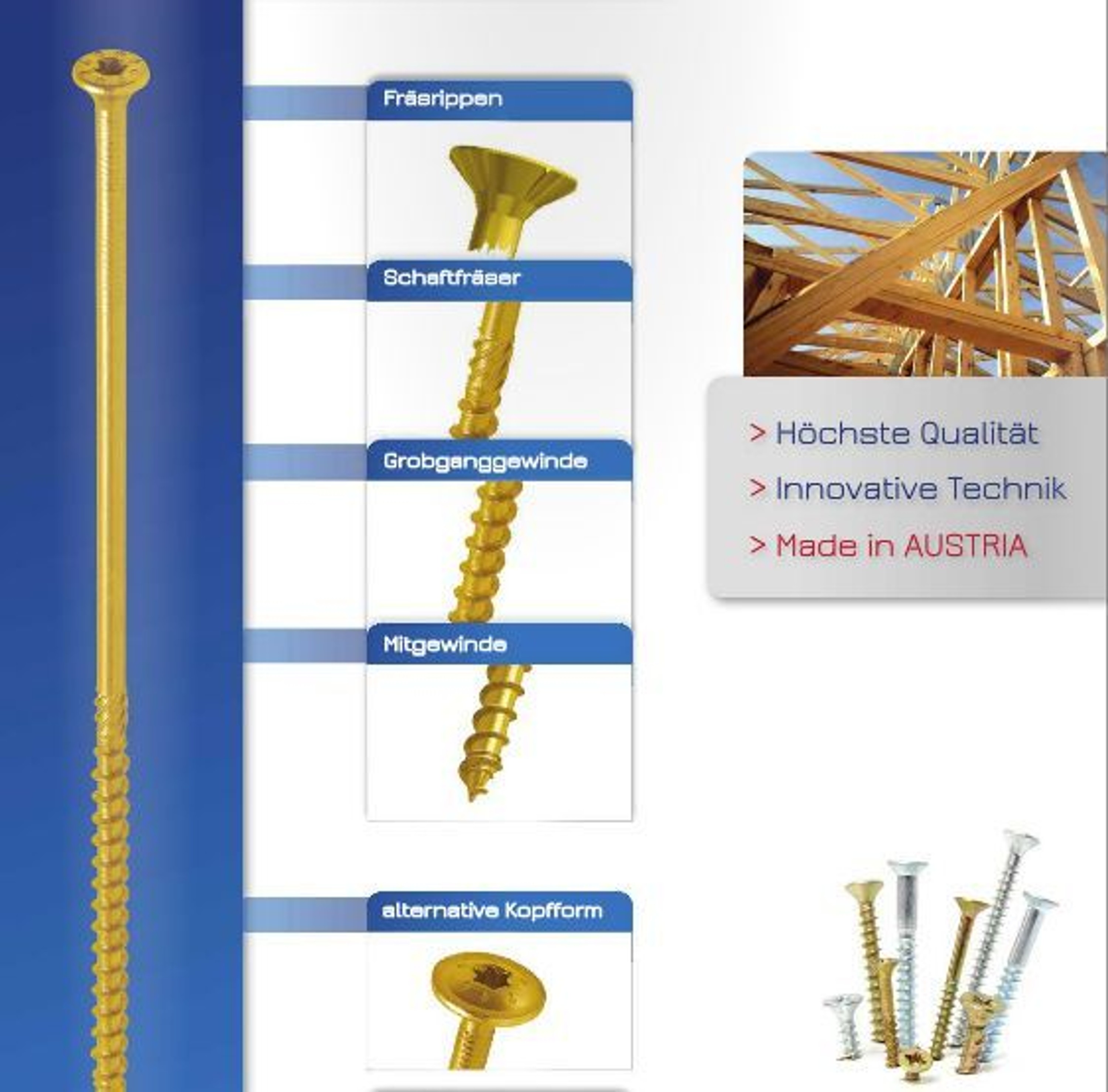 Verzinkte Tellerkopfschrauben 6x100 Mit Torx-Antrie Produktbild-Vorschau 2