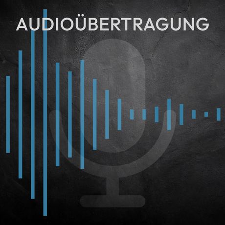 RCA Adapter STUDIO von VSG24