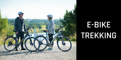 E Bikes Trekking