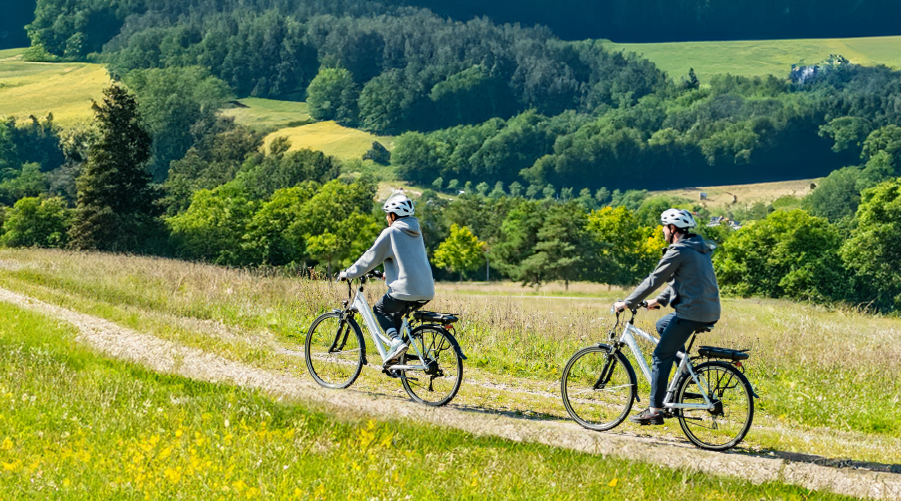 Trekking E Bikes