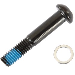 809134-Ersatzschrauben-fuer-alle-Ezyroller-Model_5.jpg