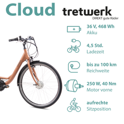 814271-Tretwerk-Cloud-E-Bike-Damen-28-Zoll-Elektrofahrrad-155-175-cm-retro-Damenfahrrad-mit-Nabenschaltung-und-Tiefeinsteiger-468-Wh-Cloud-Profit-mars-metalZeichenflaeche-3.png
