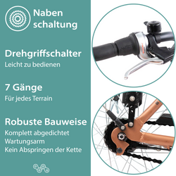 814271-Tretwerk-Cloud-E-Bike-Damen-28-Zoll-Elektrofahrrad-155-175-cm-retro-Damenfahrrad-mit-Nabenschaltung-und-Tiefeinsteiger-468-Wh-Cloud-Profit-mars-metalZeichenflaeche-5.png