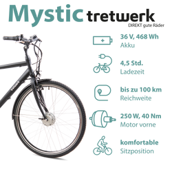 814272-Tretwerk-Mystic-E-Bike-28-Zoll-Pedelec-170-190-cm-Herrenrad-Trekking-Elektrofahrrad-mit-Nabenschaltung-City-E-Fahrrad-Mystic-Profit-schwarzZeichenflaeche-3_1.png