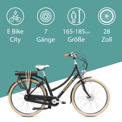 814273-Tretwerk-Aurora-E-Bike-Damen-28-Zoll-Elektrofahrrad-165-185-cm-retro-Hollandrad-E-Damenfahrrad-mit-Nabenschaltung-und-Ruecktritt-Aurora-01aurora-black.png