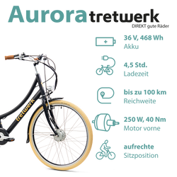 814273-Tretwerk-Aurora-E-Bike-Damen-28-Zoll-Elektrofahrrad-165-185-cm-retro-Hollandrad-E-Damenfahrrad-mit-Nabenschaltung-und-Ruecktritt-Aurora-02aurora-black.png