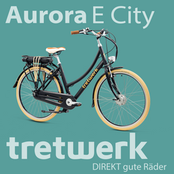814273-Tretwerk-Aurora-E-Bike-Damen-28-Zoll-Elektrofahrrad-165-185-cm-retro-Hollandrad-E-Damenfahrrad-mit-Nabenschaltung-und-Ruecktritt-Aurora-06aurora-black.png