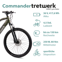 814275-Tretwerk-Commander-E-Bike-Mountainbike-29-Zoll-Pedelec-MTB-Hardtail-Herren-oder-Damen-9-Gang-Commander-Profit-sunrise02-neu.png