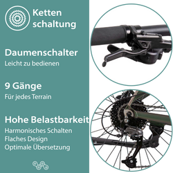 814275-Tretwerk-Commander-E-Bike-Mountainbike-29-Zoll-Pedelec-MTB-Hardtail-Herren-oder-Damen-9-Gang-Commander-Profit-sunrise04.png