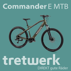 814275-Tretwerk-Commander-E-Bike-Mountainbike-29-Zoll-Pedelec-MTB-Hardtail-Herren-oder-Damen-9-Gang-Commander-Profit-sunrise06.png
