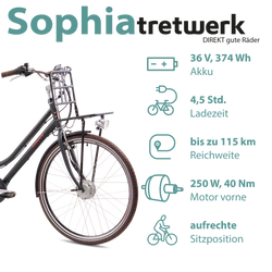 814278-Tretwerk-Sophia-E-Bike-Damen-28-Zoll-Elektrofahrrad-155-175-cm-Hollandrad-Tiefeinsteiger-mit-3-Gang-Nabenschaltung-und-Ruecktritt-Sophia-Profit-schwarz02_1.png