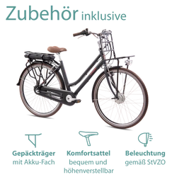 814278-Tretwerk-Sophia-E-Bike-Damen-28-Zoll-Elektrofahrrad-155-175-cm-Hollandrad-Tiefeinsteiger-mit-3-Gang-Nabenschaltung-und-Ruecktritt-Sophia-Profit-schwarz05.png