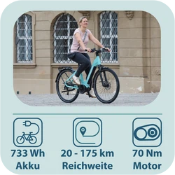814280-Tretwerk-Amber-E-Bike-Damen-28-Zoll-Elektrofahrrad-155-185-cm-Hollandrad-Tiefeinsteiger-mit-9-Gang-Schaltung-Amber-TW0708021-03.png