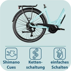 814280-Tretwerk-Amber-E-Bike-Damen-28-Zoll-Elektrofahrrad-155-185-cm-Hollandrad-Tiefeinsteiger-mit-9-Gang-Schaltung-Amber-TW0708021-06.png