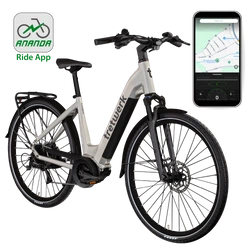 Tretwerk Amber E Bike Damenfahrrad grau