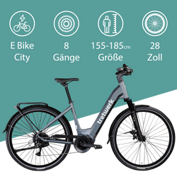 814280-Tretwerk-Amber-E-Bike-Damen-28-Zoll-Elektrofahrrad-160-180-cm-Hollandrad-Tiefeinsteiger-mit-8-Gang-Schaltung-Amber-TWBC0104236028-01.png