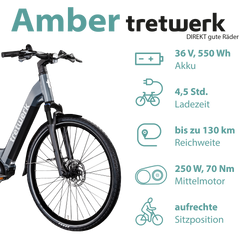 814280-Tretwerk-Amber-E-Bike-Damen-28-Zoll-Elektrofahrrad-160-180-cm-Hollandrad-Tiefeinsteiger-mit-8-Gang-Schaltung-Amber-TWBC0104236028-02.png