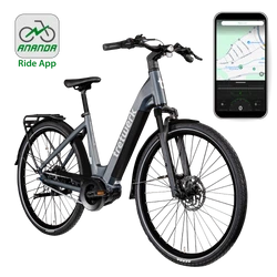 Tretwerk Amber Nexus E Bike Damenfahrrad anthrazit