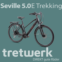 814289-Tretwerk-Seville-5-0-E-Bike-28-Zoll-Trekkingrad-Damen-160-180-cm-Elektrofahrrad-418-Wh-Trekking-Pedelec-24-Gaenge-Seville-5-0-06seville-black.png