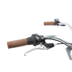 814369-Chrisson-Aloha-Beachcruiser-26-Zoll-Damen-Herren-155-170-cm-Beach-Cruiser-Fahrrad-6-Gang-Strandfahrrad-Aloha--0004-KCP-Aloha-Bk-Gold-BC0014215111-2.jpg