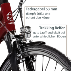 814464-Agon-Avesa-E-Bike-Trekkingrad-Damen-Herren-ab-155-cm-mit-Nabenmotor-Pedelec-Trekking-Fahrrad-mit-21-Gang-und-Beleuchtung-StVZO-Tiefeinsteiger-Avesa-Bild-3.png