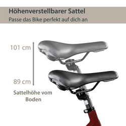 814464-Agon-Avesa-E-Bike-Trekkingrad-Damen-Herren-ab-155-cm-mit-Nabenmotor-Pedelec-Trekking-Fahrrad-mit-21-Gang-und-Beleuchtung-StVZO-Tiefeinsteiger-Avesa-Bild-4.png