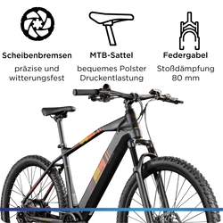 814765-Zuendapp-Z808-E-Bike-Mountainbike-29--fuer-Damen-und-Herren-ab-160-cm-Pedelec-10-Gang-Elektrofahrrad-550Wh-Scheibenbremsen-Z808-ZA0701141-03.png