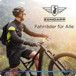 814765-Zuendapp-Z808-E-Bike-Mountainbike-29--fuer-Damen-und-Herren-ab-160-cm-Pedelec-10-Gang-Elektrofahrrad-550Wh-Scheibenbremsen-Z808-ZA0701141-07.png