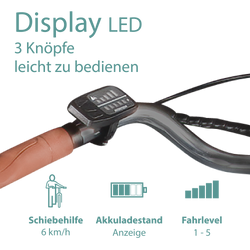 814768-Tretwerk-Sophia-E-Bike-Damen-28-Zoll-Elektrofahrrad-155-175-cm-Hollandrad-Tiefeinsteiger-mit-7-Gang-Nabenschaltung-und-Ruecktritt-Sophia-BE-UCH28-00420-03.png