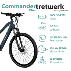 Der 504 Wh Akku ermöglicht bis zu 125 Kilometer Reichweite mit diesem Pedelec. Der Heckmotor unterstützt mit 40 Nm bis 25 km/h.