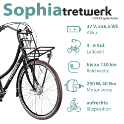 814773-Tretwerk-Sophia-E-Bike-Damen-Herren-28-Zoll-Pedelec-3-Gang-Elektrofahrrad-mit-522-Wh-Elektro-Damenfahrrad-Citybike-mit-Bluetooth-und-App-Sophia-02-TW0709012.png