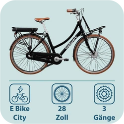 814773-Tretwerk-Sophia-E-Bike-Damen-Herren-28-Zoll-Pedelec-3-Gang-Elektrofahrrad-mit-536-Wh-Elektro-Damenfahrrad-Citybike-mit-Bluetooth-und-App-Sophia-TW0709012-02.png