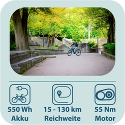 815097-Tretwerk-Onyx-E-Bike-Trekkingrad-ab-165-cm-Elektrofahrrad-550-Wh-Pedelec-Trekking-Rad-Fahrrad-mit-8-Gang-und-Beleuchtung-StVZO-Onyx-03-TW0708006.png