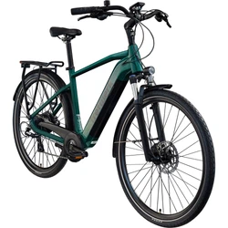 815097-Tretwerk-Onyx-E-Bike-Trekkingrad-ab-165-cm-Elektrofahrrad-550-Wh-Pedelec-Trekking-Rad-Fahrrad-mit-8-Gang-und-Beleuchtung-StVZO-Onyx-TW0708006--1-.jpg