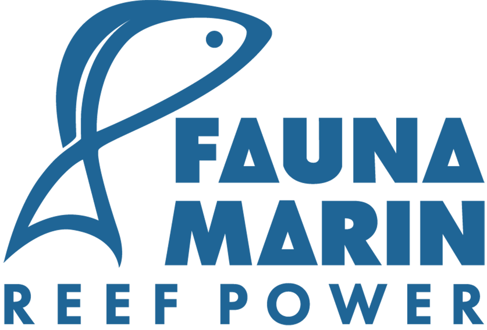 Fauna Marin Ihr Spezialunternehmen Fur Meerwasser Aquaristik Und Korallen