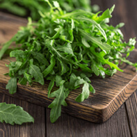 Rucola- / Raukesamen