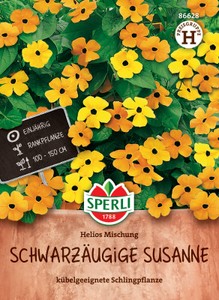 Schwarzäugige Susanne