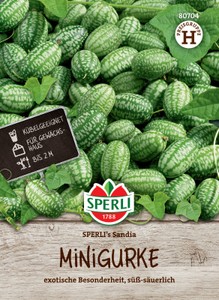 Mexikanische Minigurke Sandia