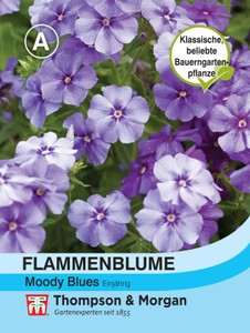 Flammenblume Moody Blues