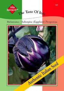 Aubergine Melanzana Prosperosa