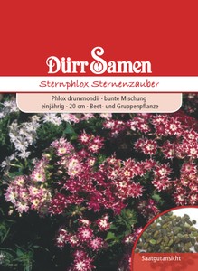 Flammenblume Mischung Flammenblume Mischung