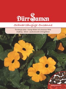 Schwarzäugige Susanne