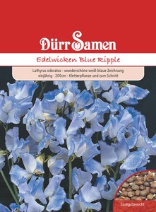 Edelwicke Blue Ripple