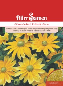 Sonnenhut Prairie Sun